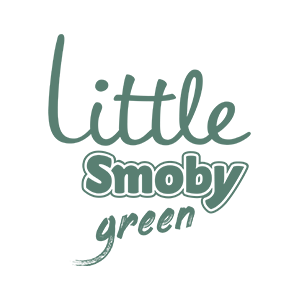 Little Smoby Green Porteur Auto