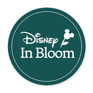 Disney In Bloom